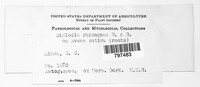 Image Associated With the Occurence